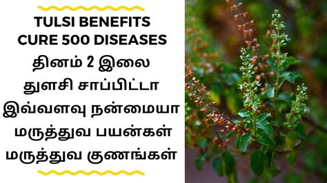 tulasi pron video|Tulasi videos and Tamil videos – Telegram.